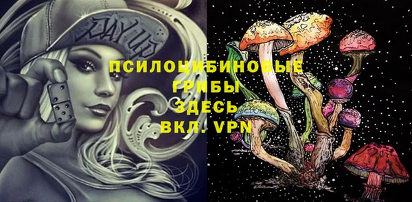 мет Белокуриха