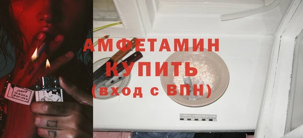шишки Белоозёрский