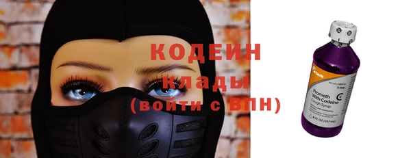 шишки Белоозёрский