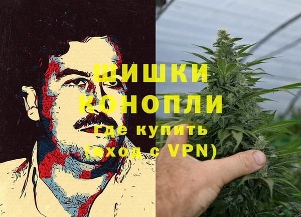 шишки Белоозёрский