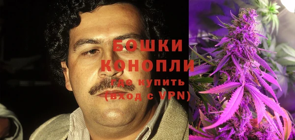 шишки Белоозёрский