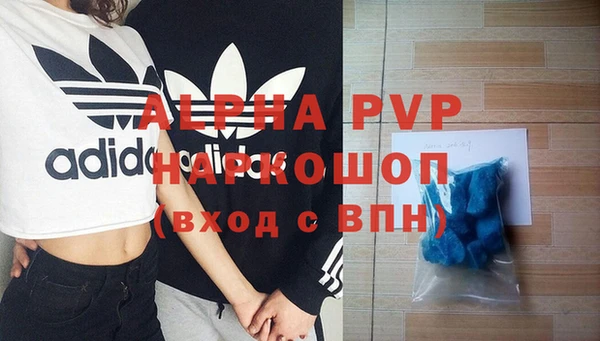 шишки Белоозёрский