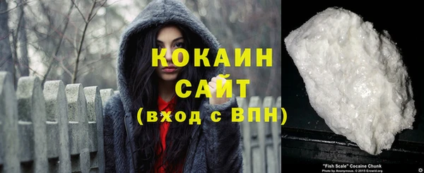шишки Белоозёрский